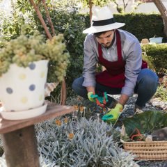 male-gardener-cutting-harvested-flower-garden